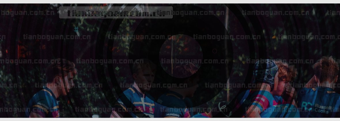 天博官网网页中国官方网站，权威品牌直通入口